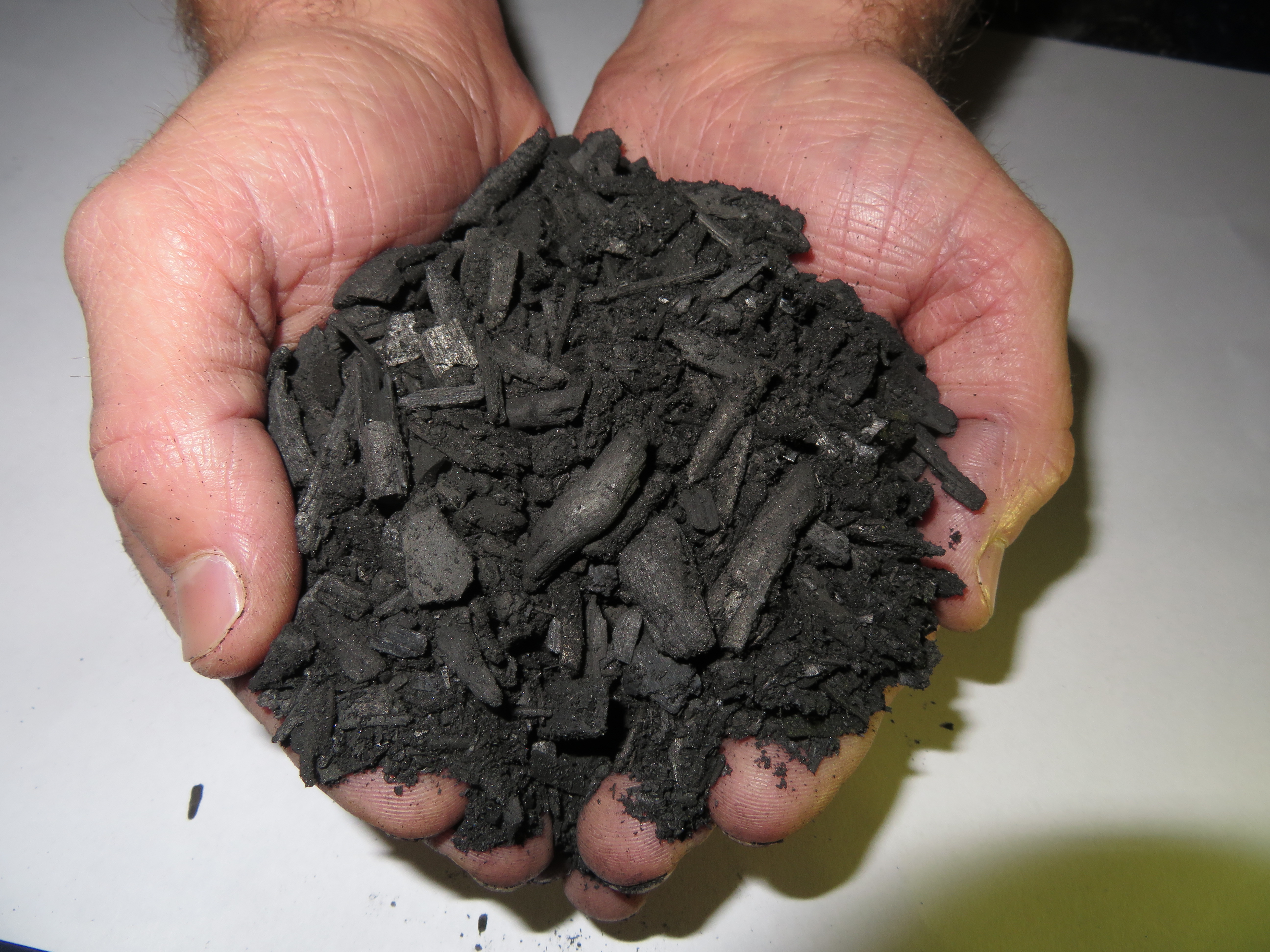 biochar carbone vegetale
