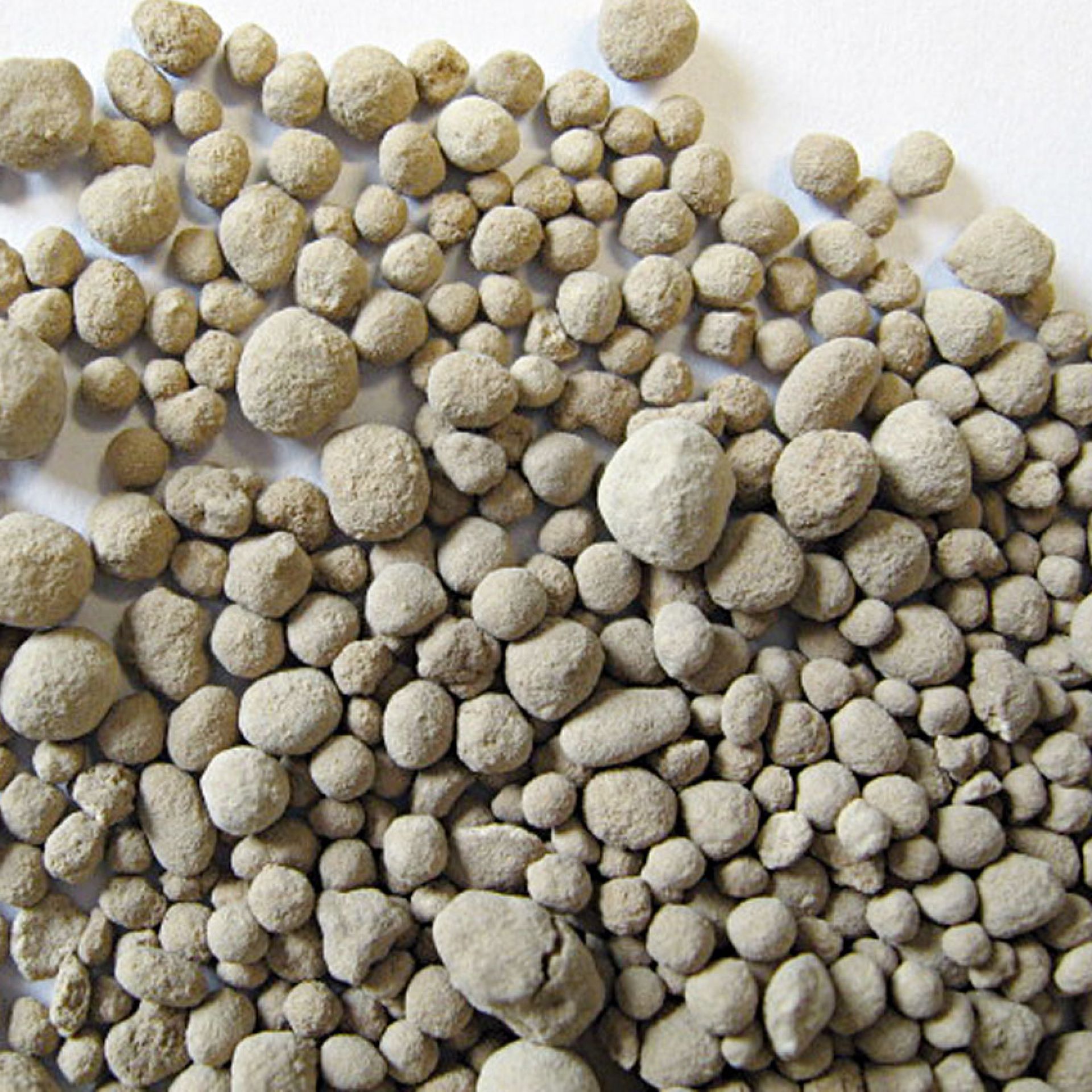 Dolophos 26 im kaufen